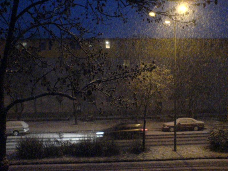 Morgens 7Uhr bei LoBo