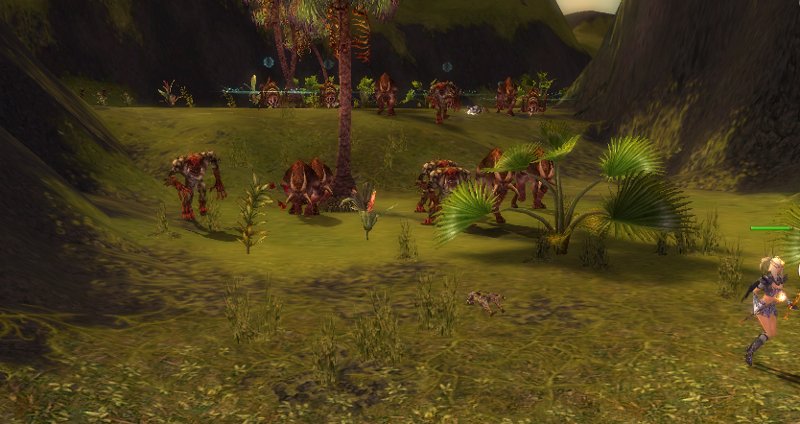 Stampede!