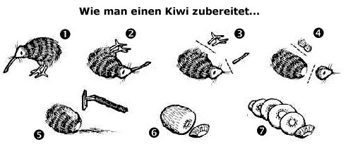 kiwi