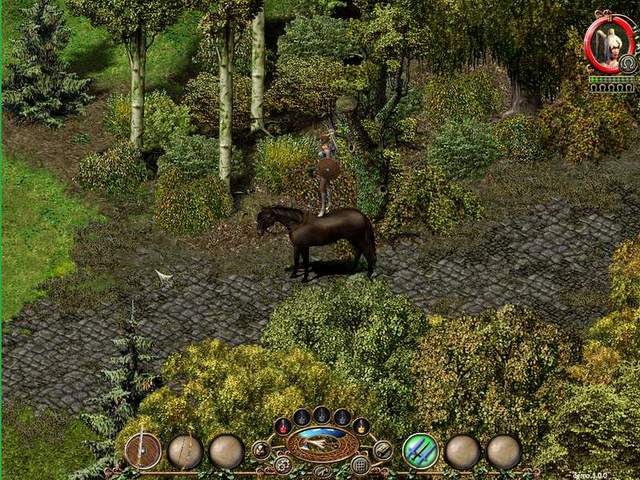 Dresur Reiten die Erste
