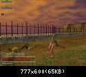 EQ2: Kampf im Sonnenuntergang