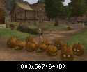 Miyas Halloween Blockade