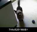 Sammy