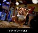 Hamsterattacke
